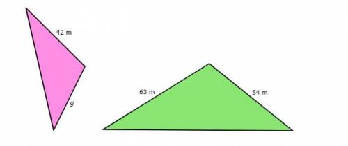 If these two shapes are similar, what is the measure of the missing length g?