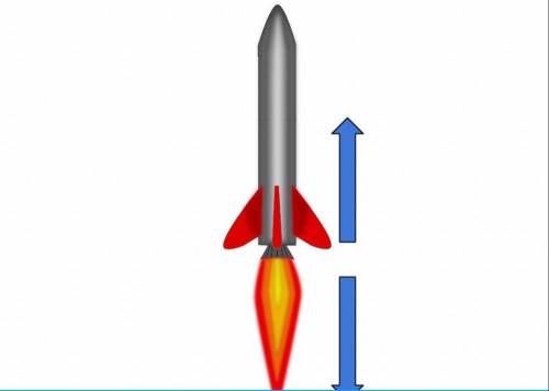 Which arrow is the action and which arrow is the reaction?