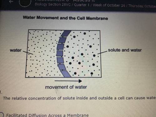 The relative concentration of solute inside and outside a cell can cause water molecules to move ac
