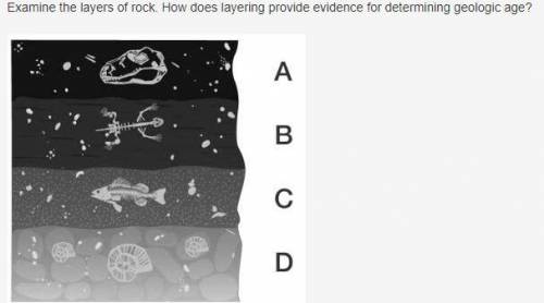 Examine the layers of rock. How does layering provide evidence for determining geologic age?