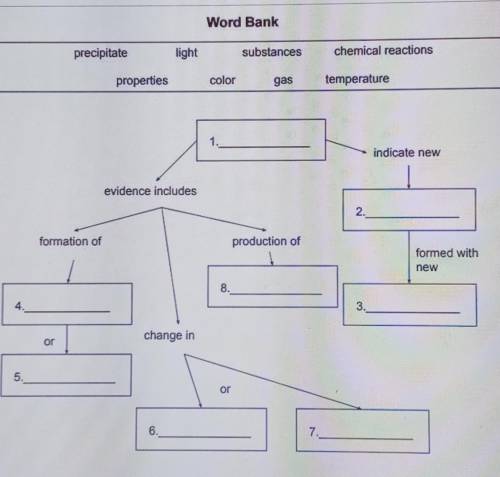 Graphic organizer: use the terms in the word bank to complete the graphic organizer below.

- word