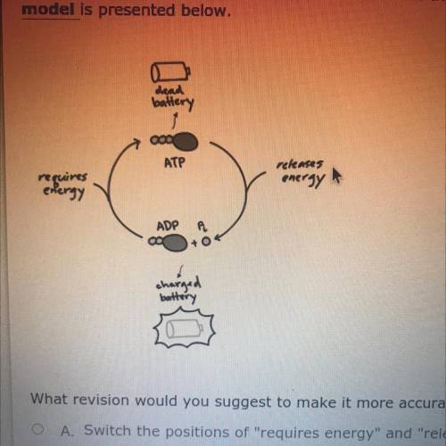 (AKS 4a/DOK 3) Students in a biology class were asked to develop a model that illustrates the struc