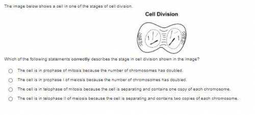 The image below shows a cell in one of the stages of cell division.

Which of the following statem