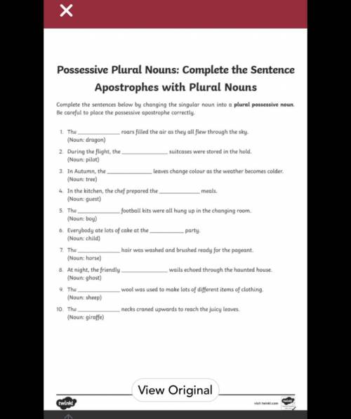 Possessive plural nouns (year 6)