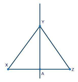 Triangle XYZ is shown below with line AY passing through the center: Triangle XYZ is shown with lin