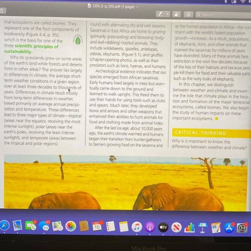 READ THE ARTICLE ABOUT THE AFRICAN SAVANNAH ABOUT THE GRASSLAND THEN WRITE A SHORT 3 PARAGRAPH ESSA