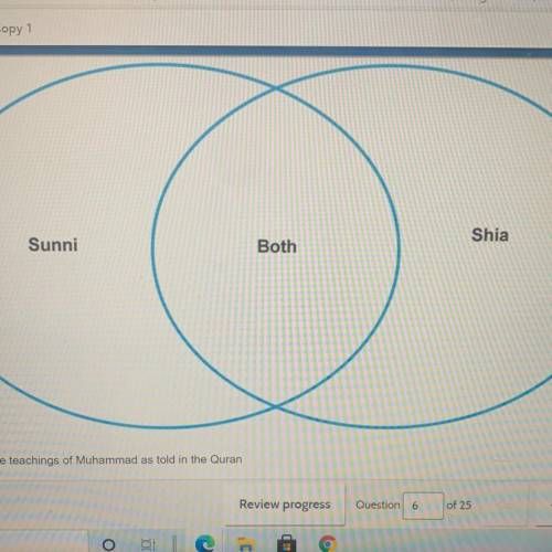 Which follows under Shia in the diagram

A. follows the teachings of Muhammad as told in the Quran
