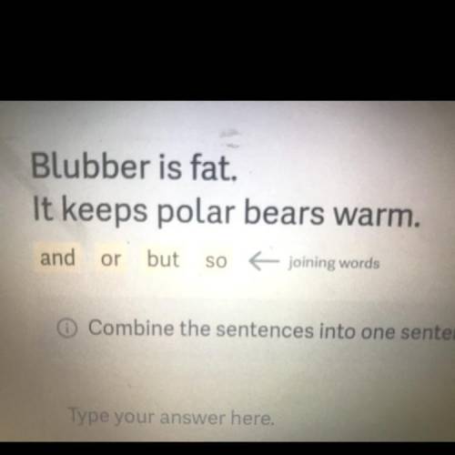 Blubber is fat.
It keeps polar bears warm.