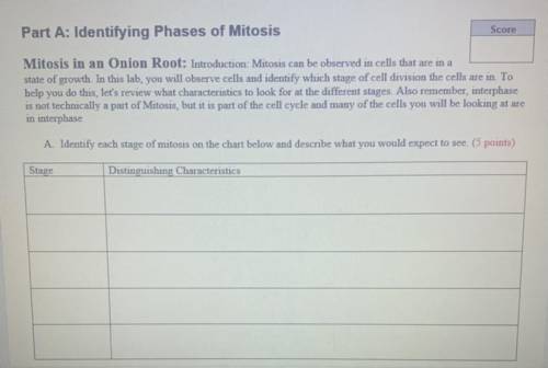 Please help me ASAP ASAP

DOES ANYONE KNOW THE answers to the 3.25 Mitosis Lab? IF SO PLEASE HELP
