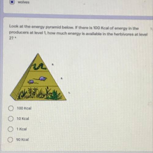 Point

Look at the energy pyramid below. If there is 100 Kcal of energy in the
producers at level
