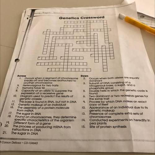 Genetics crossword...please help