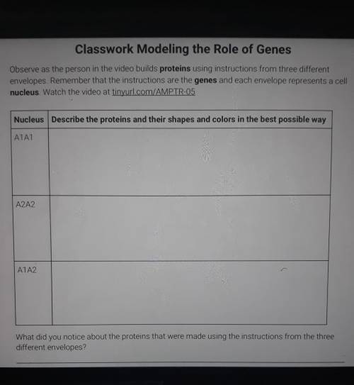 Classwork Modeling the Role of Genes Observe as the person in the video builds proteins using instr
