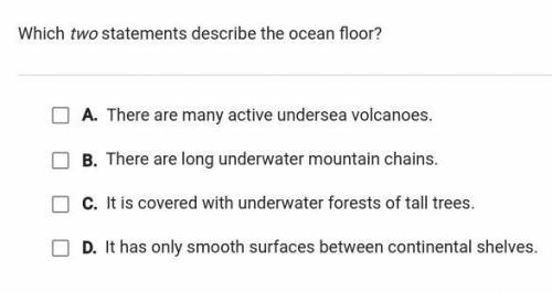 Which TWO statements describe the ocean floor giving brainliest plz help and explain