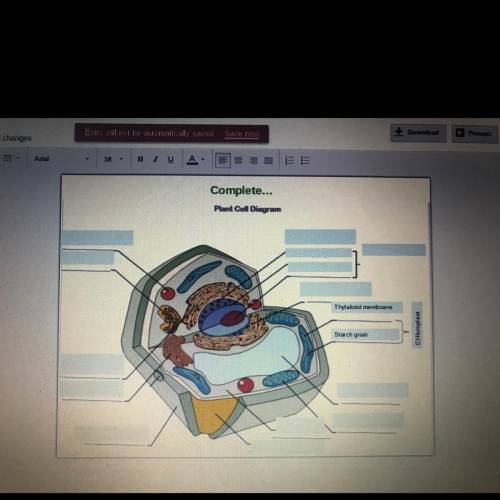 Plant cell diagram help label fast will mark to the best answer
