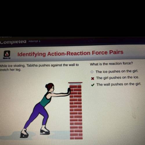 What is the reaction force?

O The ice pushes on the girl.
The girl pushes on the ice.
The wall pu