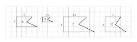 Brainliest if you provide a valid explanation!

Q: Which shape is not proportional to the other sh