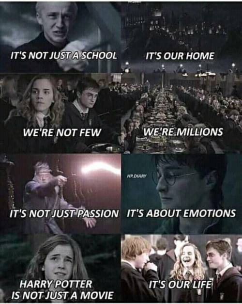 Harry Potter memes again. I don't agree with the last one but it's still funny.