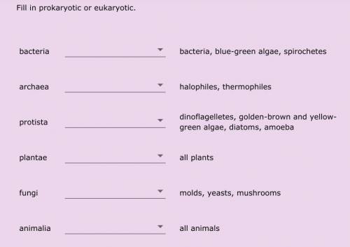 4) fill in the blanks with the following options:

a) eukaryotic 
b) prokaryotic
1)bacteria______;