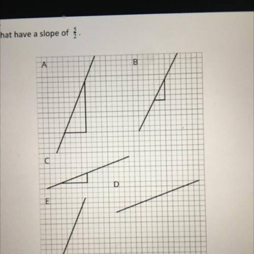 Select all the lines that have the slope of 5/2