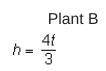 A botanist uses the representations below to show the heights in inches, h, of different plants ove