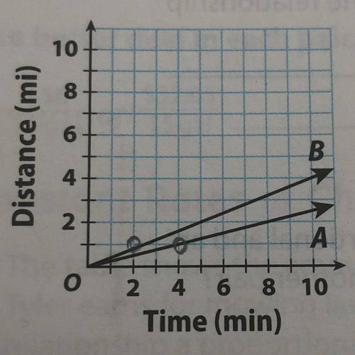 10. Write an equation for the relationship between time
and distance for each horse.