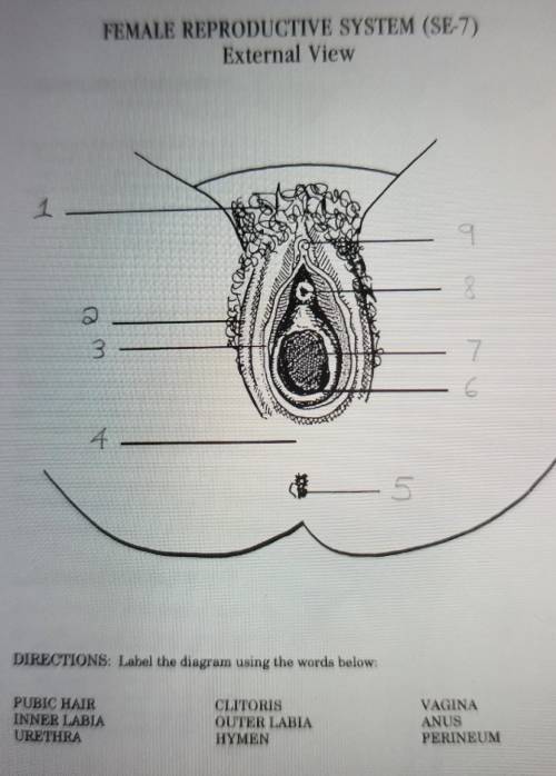 FEMALE REPRODUCTIVE SYSTEM (SE-7)

(have this done correctly for brainiest)label the image with th