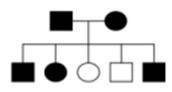 What are the genotypes of the parents shown in this pedigree if the disorder is a recessive disorde