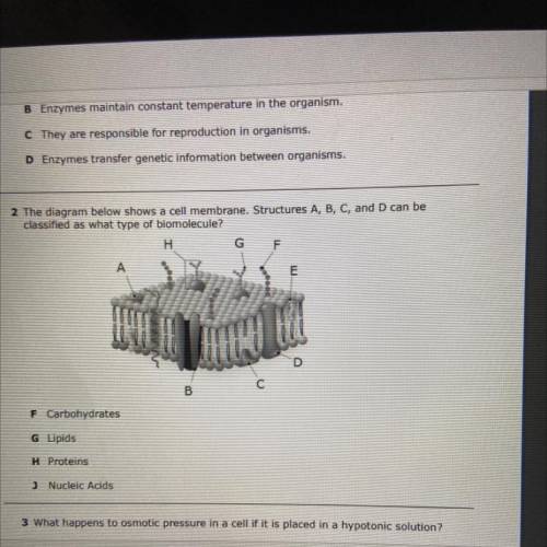 2 The diagram below shows a cell membrane. Structures A, B, C, and D can be

classified as what ty