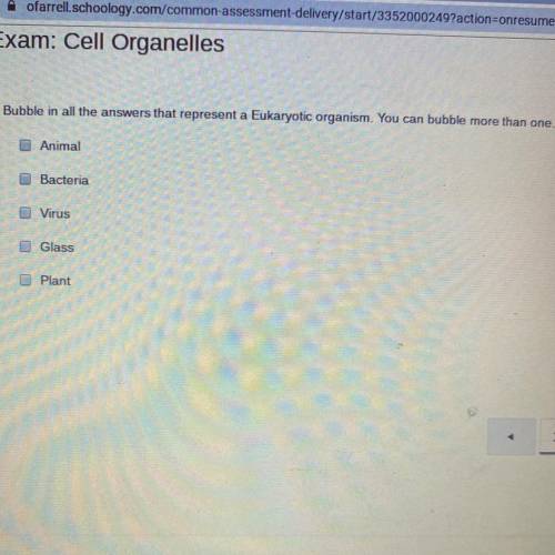 Help please !

Bubble in all the answers that represent a Eukaryotic organism. You can bubble more