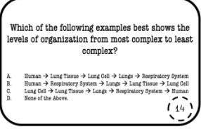 Which of the following examples best shows the levels of organization from most complex to least co