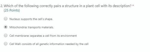 Plant Cell. Help Help Help!