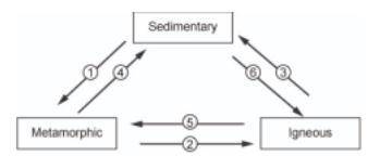 Question.

Which of the following events must occur at point 6 in order to transform sedimentary r