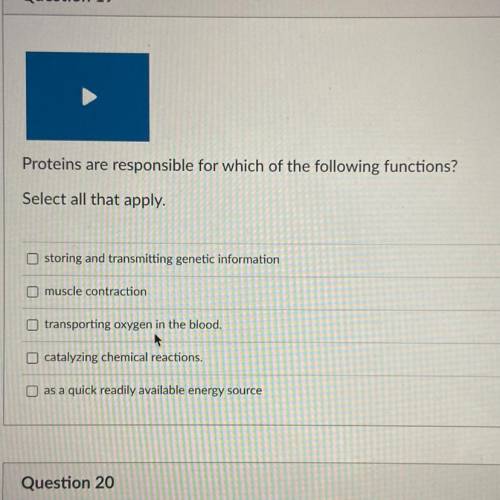 Proteins are responsible for which of the following functions?