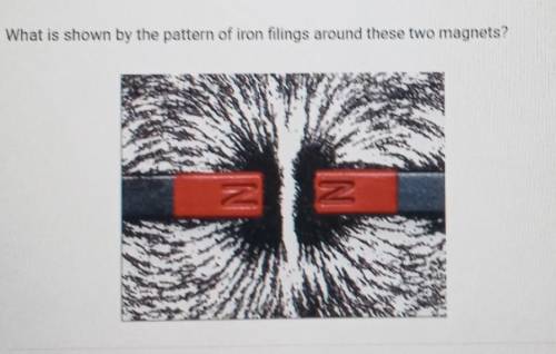 What is shown by the pattern of iron filings around these two magnets?

A. Opposite poles repel be