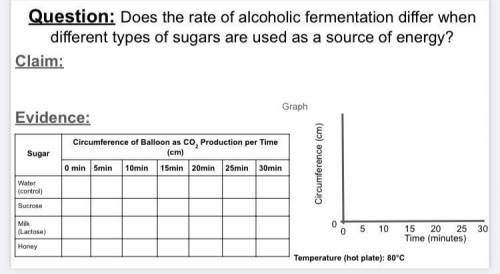 does the rate of alcoholic fermentation differ when different types of sugar are used as a source o