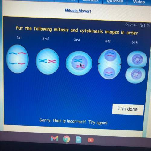 Put the following mitosis and cytokinesis images in order.