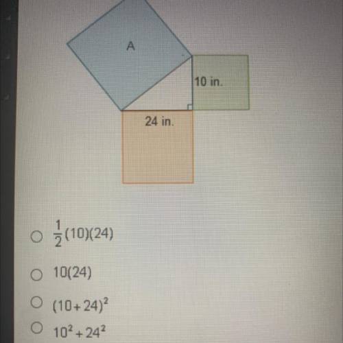 Which Expression is equivalent to the area of squirt a in square inches?