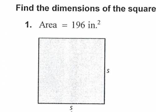 Find the dimension of the shape (please help)
20 points