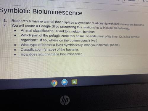 Does anyone know how to do this I really need help of what fish and bacteria has a relationship