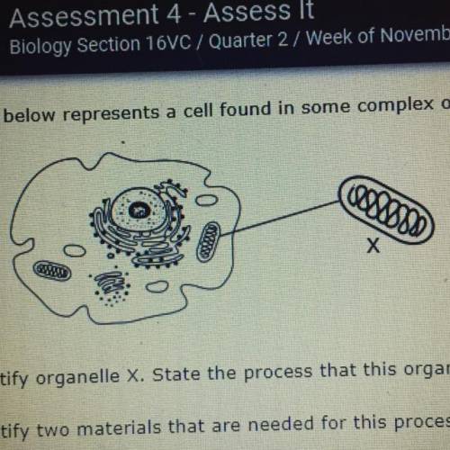 3. The diagram below represents a cell found in some complex organisms. The enlarged section repres