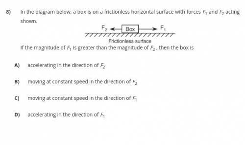 Intro/forces honors physics please help asap