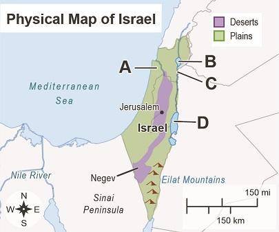 The map shows the physical features of Israel.

Which letter on the map labels the Dead Sea?
O A
O