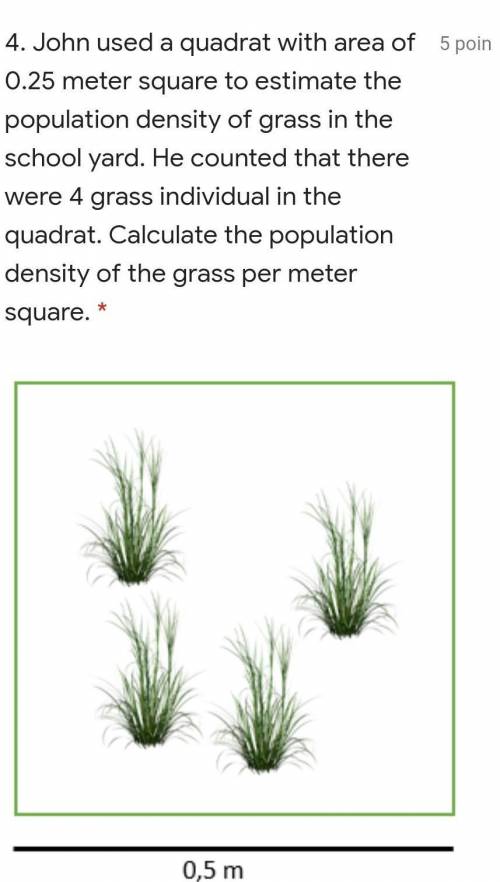 Pick the a.b.c below.a. 8 grass/m2b. 16 grass/m2c. 24 grass/m2d. 32 grass/m2