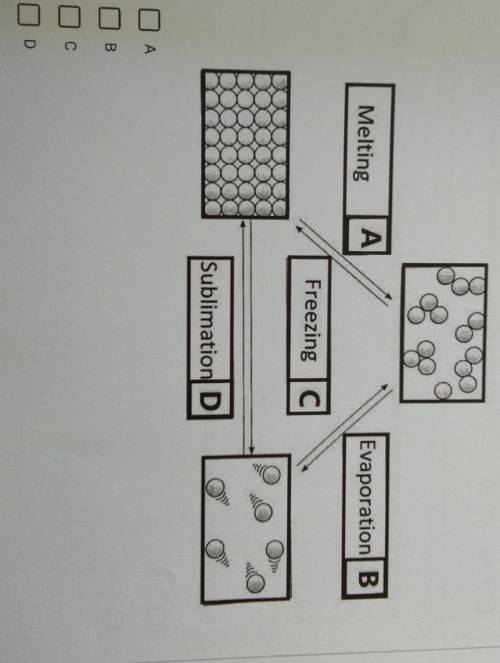 3(a). Diagram 3 shows some processes that involve the changes in the

state of matter. Choose the
