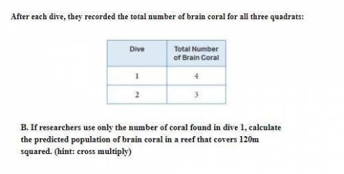 If researchers use only the number of coral found in dive 1, calculate the predicted population of