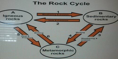 One student made this incorrect diagram of the rock cycle. Which of these statements best describes