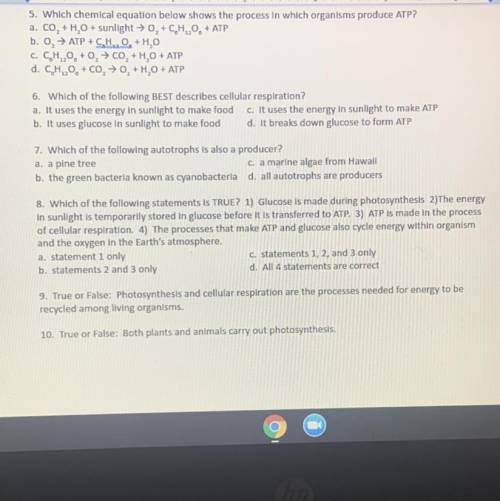 I need help with 5-10 please