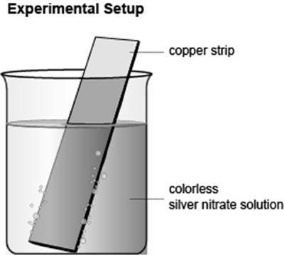 30 PTS QUESTION! WILL GIVE BRAINLIEST!

The diagram shows the setup of an experiment. A few observ