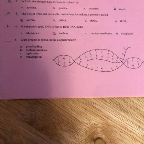 Can anyone help me with 5