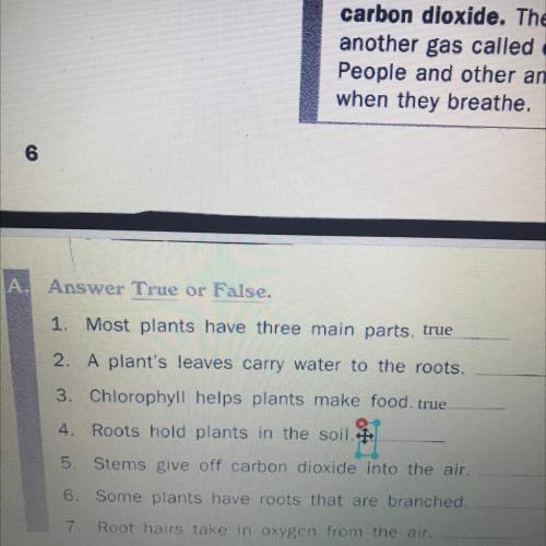 Answer True or False.

1. Most plants have three main parts. true
2. A plant's leaves carry water